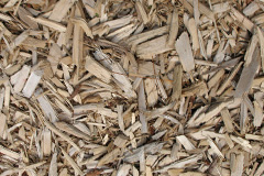 biomass boilers Pelsall Wood